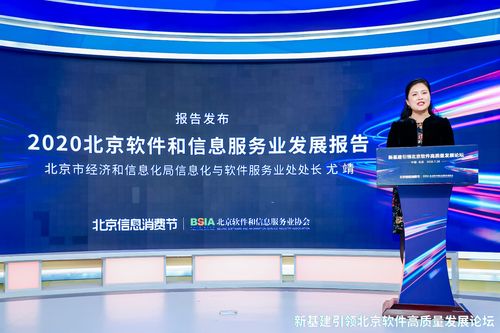 新基建引領北京軟件產業高質量發展論壇圓滿落幕，共繪信息咨詢服務新藍圖